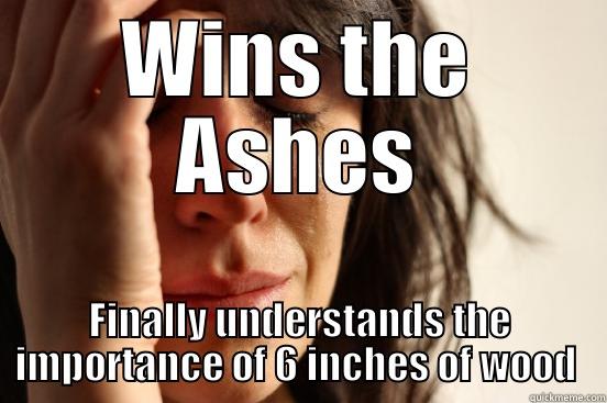 WINS THE ASHES FINALLY UNDERSTANDS THE IMPORTANCE OF 6 INCHES OF WOOD  First World Problems