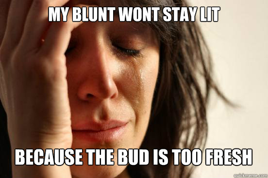 MY BLUNT WONT STAY LIT
 BECAUSE THE BUD IS TOO FRESH Caption 3 goes here  First World Problems