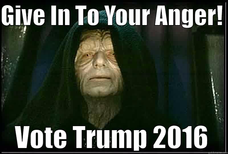 GIVE IN TO YOUR ANGER!  VOTE TRUMP 2016 Misc