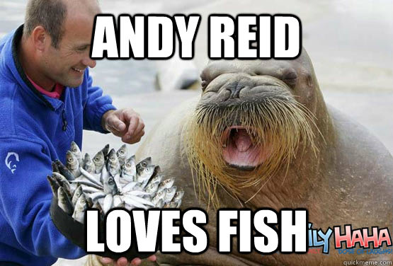 andy reid  loves fish - andy reid  loves fish  reid walrus fish