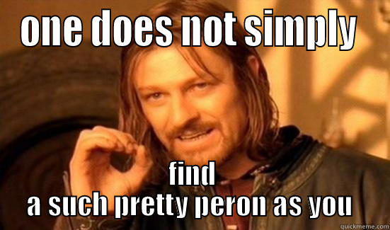 ONE DOES NOT SIMPLY  FIND A SUCH PRETTY PERON AS YOU  Boromir