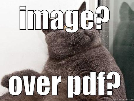 IMAGE? OVER PDF? conspiracy cat