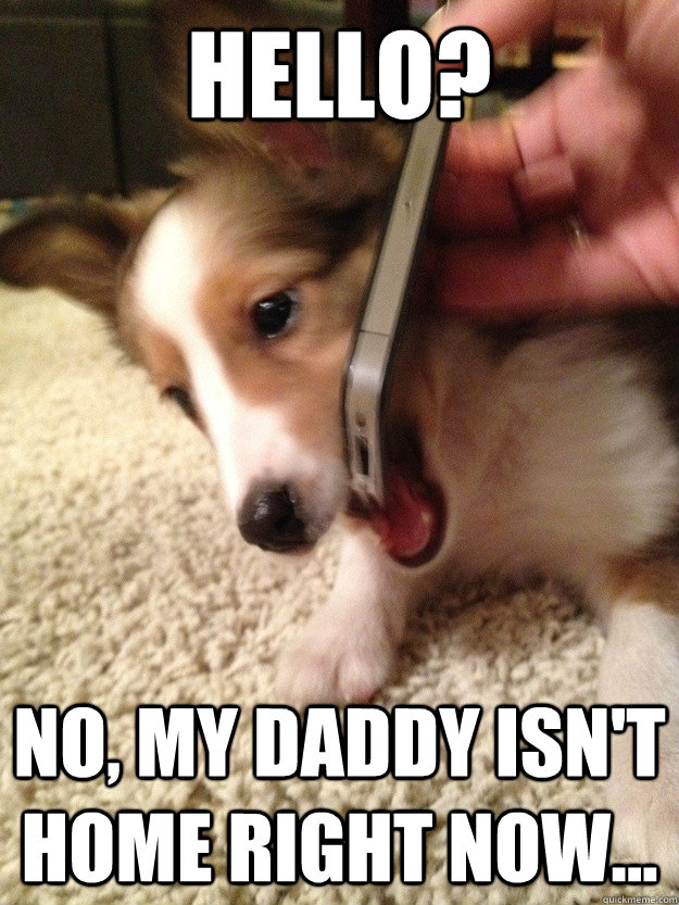 Hello? No, my daddy isn't home right now... - Hello? No, my daddy isn't home right now...  Call Screening Puppy