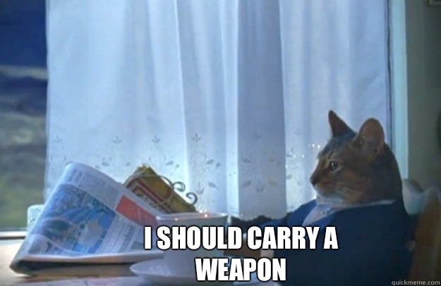 I should carry a weapon  Sophisticated Cat