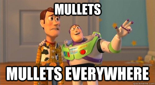 Mullets Mullets everywhere  Buzz Kill