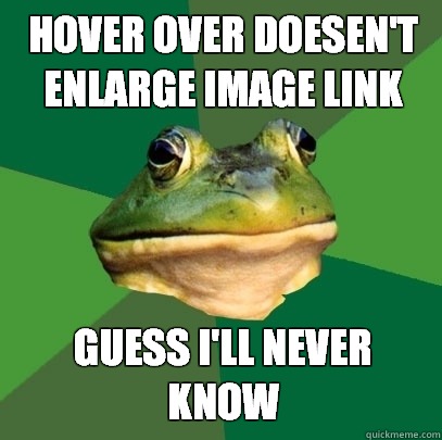 hover over doesen't enlarge image link guess i'll never know  Foul Bachelor Frog