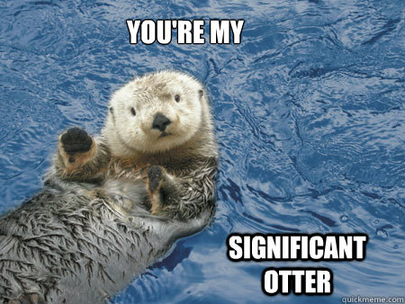 you're my  significant otter - you're my  significant otter  Hot otter