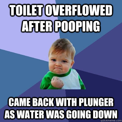 Toilet overflowed after pooping came back with plunger as water was going down  Success Kid
