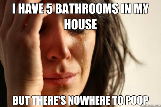 i have 5 bathrooms in my house but there's nowhere to poop  First World Problems