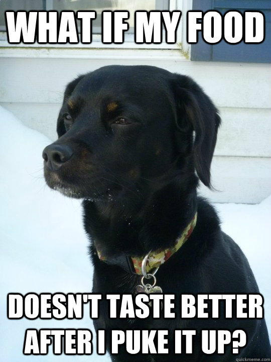 What if my food doesn't taste better after I puke it up?  Philosophical Puppy
