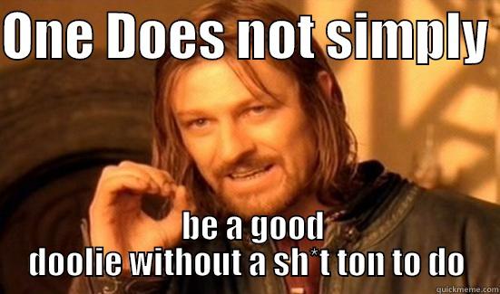 ONE DOES NOT SIMPLY    BE A GOOD DOOLIE WITHOUT A SH*T TON TO DO Boromir