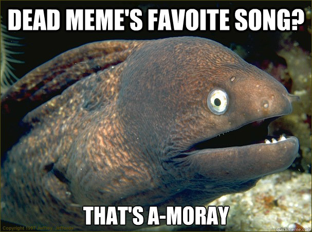 Dead Meme's favoite song? That's A-Moray - Dead Meme's favoite song? That's A-Moray  Bad Joke Eel