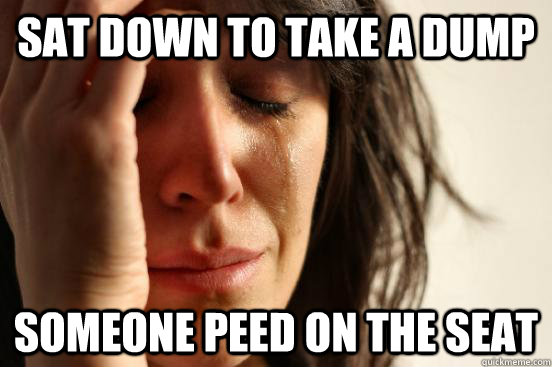 Sat down to take a dump someone peed on the seat  First World Problems