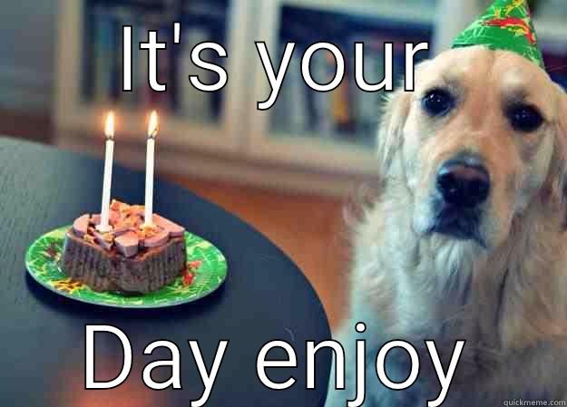 Happy birthday - IT'S YOUR DAY ENJOY Sad Birthday Dog