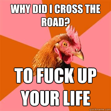 why did i cross the road? to fuck up your life - why did i cross the road? to fuck up your life  Anti-Joke Chicken