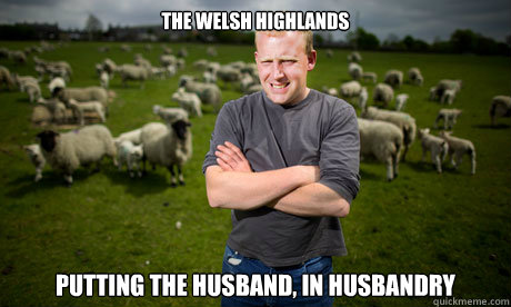 The Welsh highlands putting the husband, in husbandry  Sheep Farmer