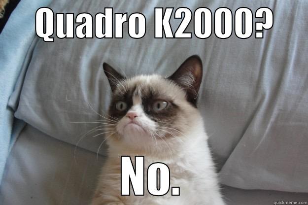 jiojiojio fjiow fejwiof  -      QUADRO K2000?      NO. Grumpy Cat