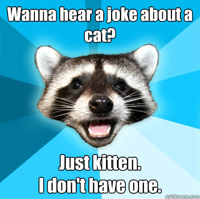 Wanna hear a joke about a cat? Just kitten. 
I don't have one.  Lame Pun Coon