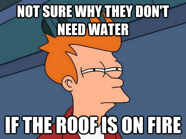 Not sure why they don't need water If the roof is on fire  Futurama Fry