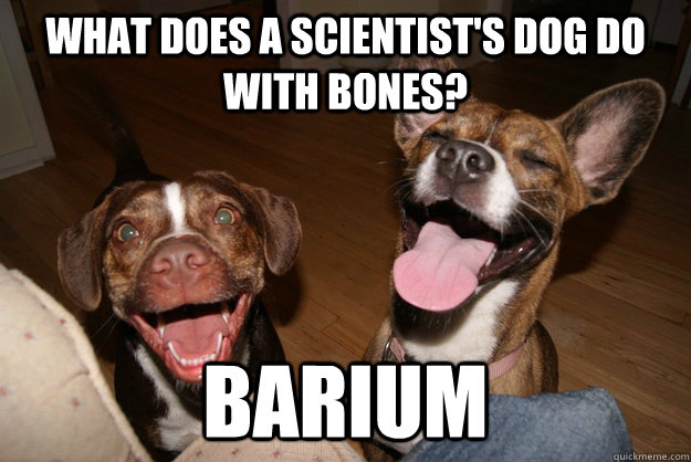 What does a scientist's dog do with bones? Barium  Clean Joke Puppies