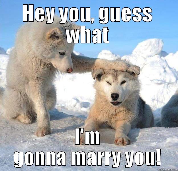 HEY YOU, GUESS WHAT I'M GONNA MARRY YOU! Caring Husky