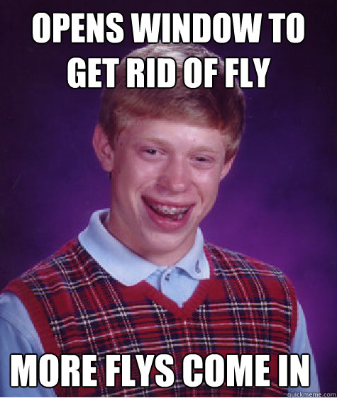 Opens window to get rid of fly More flys come in  Bad Luck Brian