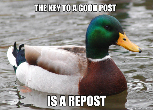 THE KEY TO A GOOD POST IS A REPOST - THE KEY TO A GOOD POST IS A REPOST  Actual Advice Mallard