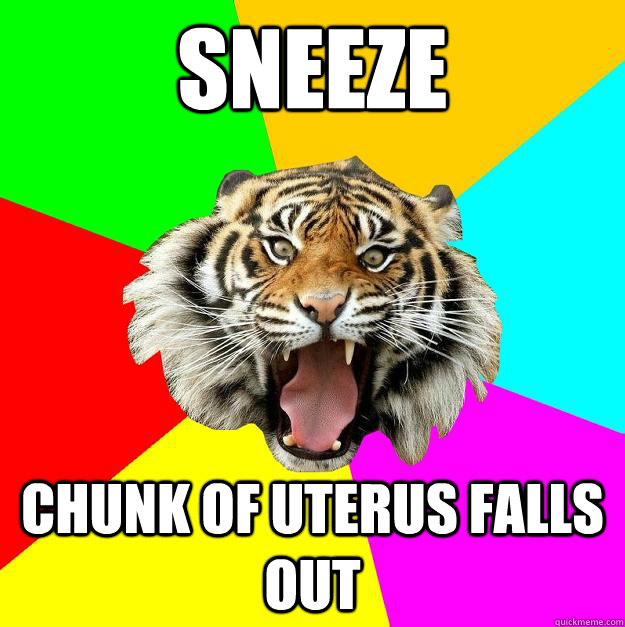 Sneeze chunk of uterus falls out  Time of the Month Tiger