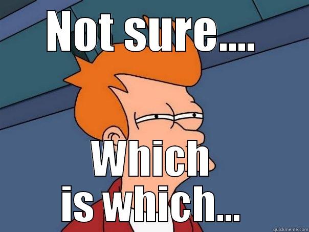 NOT SURE.... WHICH IS WHICH... Futurama Fry
