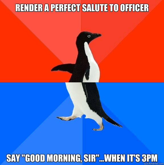 Render a perfect salute to officer say 