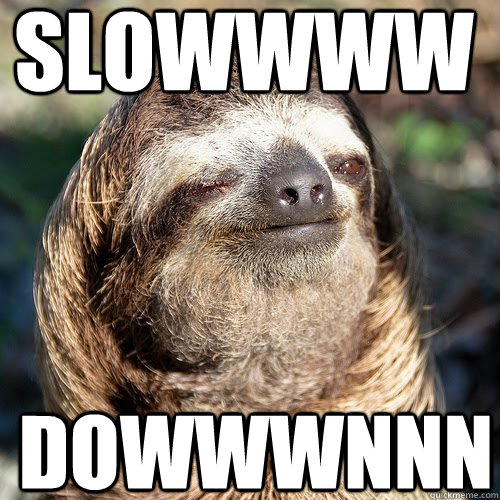 SLOWWww DOWwwNNn - SLOWWww DOWwwNNn  10 guy sloth