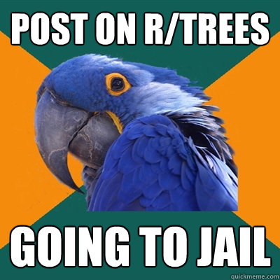 Post on r/trees Going to jail  Paranoid Parrot