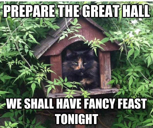 prepare the great hall We shall have fancy feast tonight - prepare the great hall We shall have fancy feast tonight  Royalty Cat