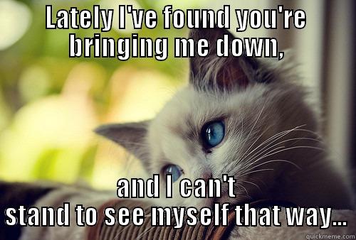 LATELY I'VE FOUND YOU'RE BRINGING ME DOWN, AND I CAN'T STAND TO SEE MYSELF THAT WAY... First World Problems Cat
