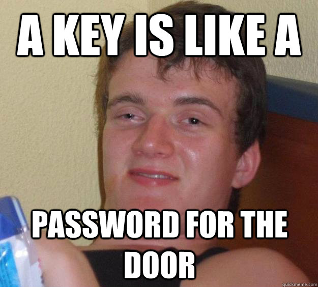a key is like a password for the door - a key is like a password for the door  10 Guy