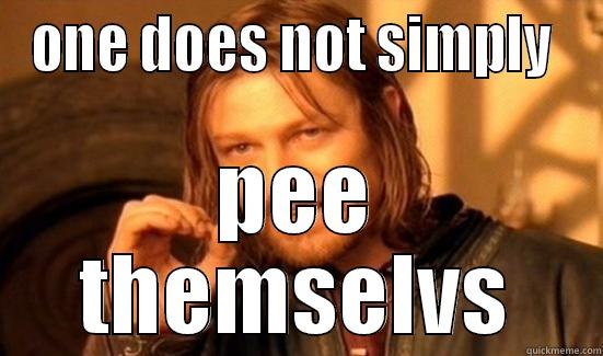 ONE DOES NOT SIMPLY  PEE THEMSELVS Boromir