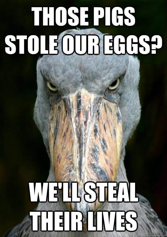Evil Plotting Bird memes quickmeme