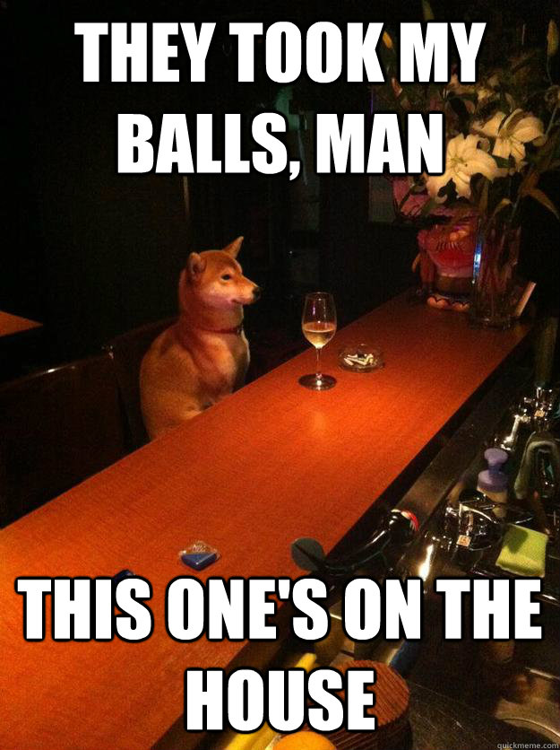 they took my balls, man this one's on the house - they took my balls, man this one's on the house  Bar Dog