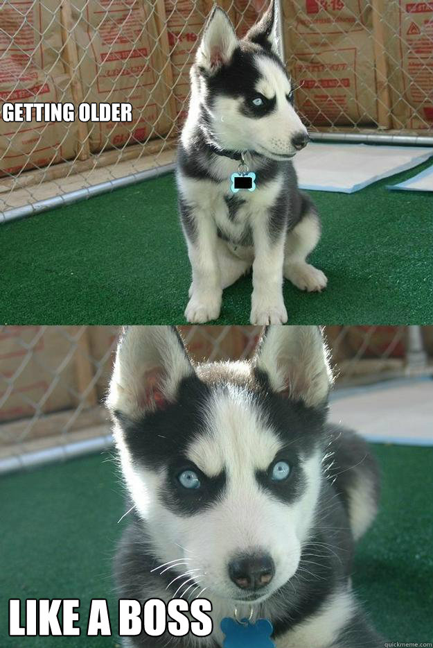 GETTING OLDER LIKE A BOSS  Insanity puppy