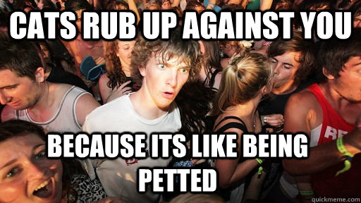 Cats rub up against you  because its like being petted   Sudden Clarity Clarence