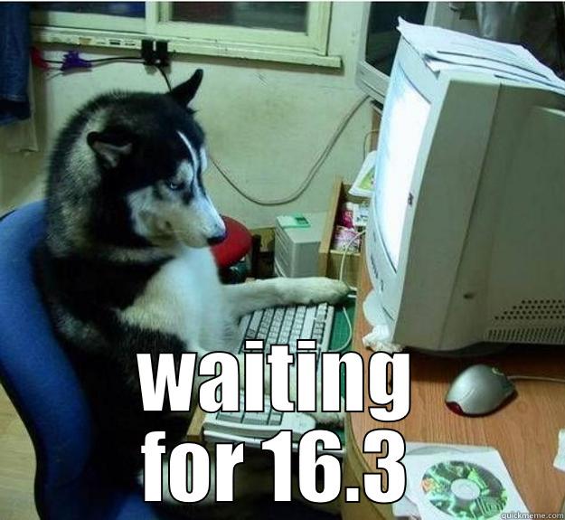 FCCF Athletes be like ... -  WAITING FOR 16.3 Disapproving Dog