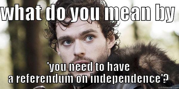 WHAT DO YOU MEAN BY  'YOU NEED TO HAVE A REFERENDUM ON INDEPENDENCE'? Misc
