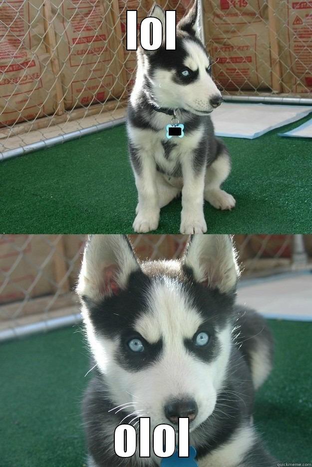 LOL OLOL Insanity puppy