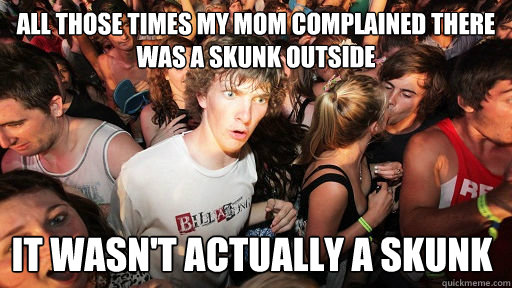 All those times my mom complained there was a skunk outside it wasn't actually a skunk  Sudden Clarity Clarence