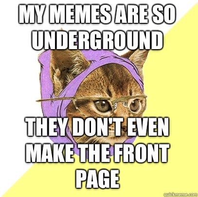 My memes are so underground They don't even make the front page  Hipster Kitty