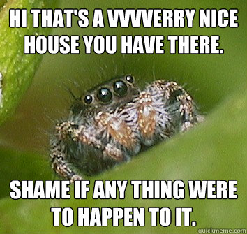 HI That's a VVVverry nice house you have there. Shame if any thing were to happen to it.  Misunderstood Spider