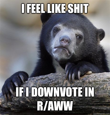 I feel like shit If I downvote in r/aww  Confession Bear