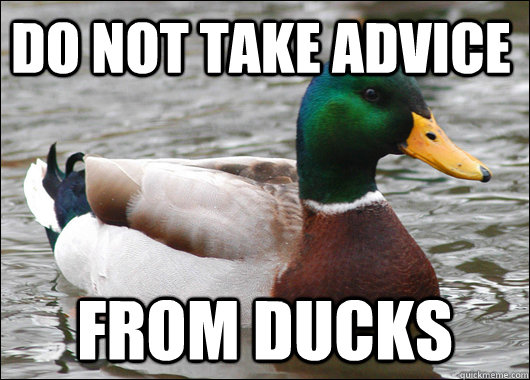 Do not take advice from ducks  Actual Advice Mallard