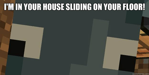 I'm in your house sliding on your floor!  Derpy Squid