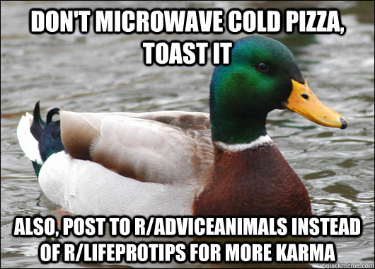 Don't microwave cold pizza, toast it Also, post to r/adviceanimals instead of r/lifeprotips for more karma - Don't microwave cold pizza, toast it Also, post to r/adviceanimals instead of r/lifeprotips for more karma  Actual Advice Mallard